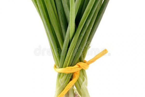 Krakenruzxpnew4af onion tor